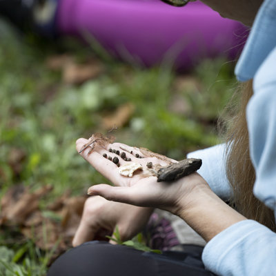 NARAVA UMETNOST ZDRAVJE: SPOZNAJTE TERAPEVTSKO MOČ USTVARJANJA V NARAVNEM OKOLJU  <em>Foto: Urška Boljkovac, arhiv MGLC</em>