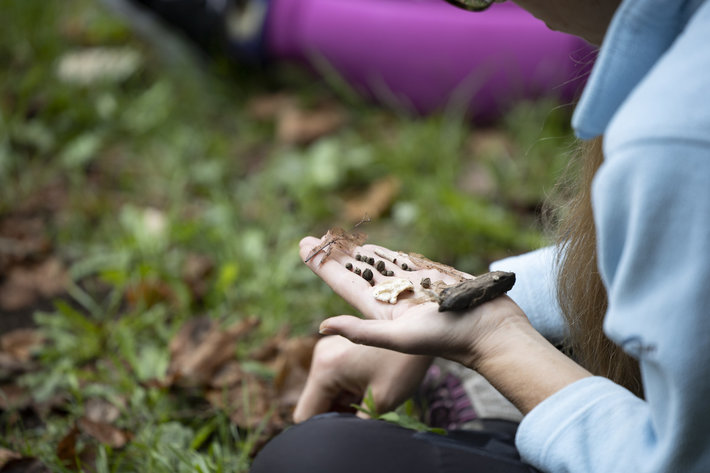 NARAVA UMETNOST ZDRAVJE: SPOZNAJTE TERAPEVTSKO MOČ USTVARJANJA V NARAVNEM OKOLJU <em>Foto: Urška Boljkovac, arhiv MGLC</em>