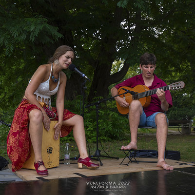 USMERJEN V ZEMLJO <em>Foto: Igor Unuk</em>