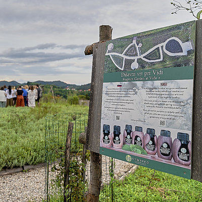 SENZORIČNO DOŽIVETJE DIŠAVNEGA VRTA PRI VIDI <em>Foto: David Orešič in Igor Unuk</em>