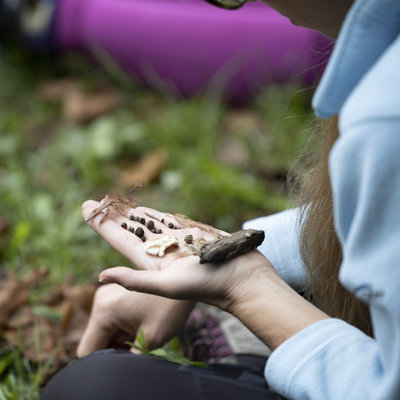 NARAVA UMETNOST ZDRAVJE: SPOZNAJTE TERAPEVTSKO MOČ USTVARJANJA V NARAVNEM OKOLJU / NATURE ART HEALTH: DISCOVER THE THERAPEUTIC POWER OF CREATING IN A NATURAL ENVIRONMENT <em>Foto: Urška Boljkovac</em>